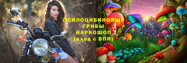 соль курить ск Козловка